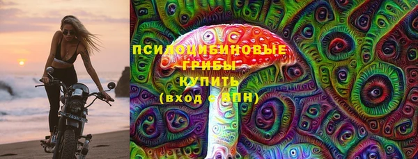 молекула духа Краснослободск