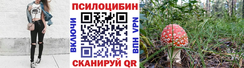 Псилоцибиновые грибы Psilocybe  Купить  Нея 